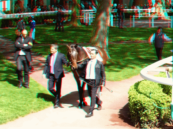 equus